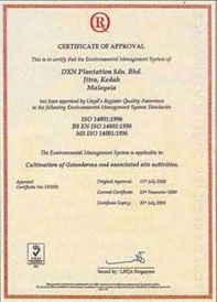 DXN Certificado ISO 14001